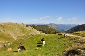 Albanien-2018-39